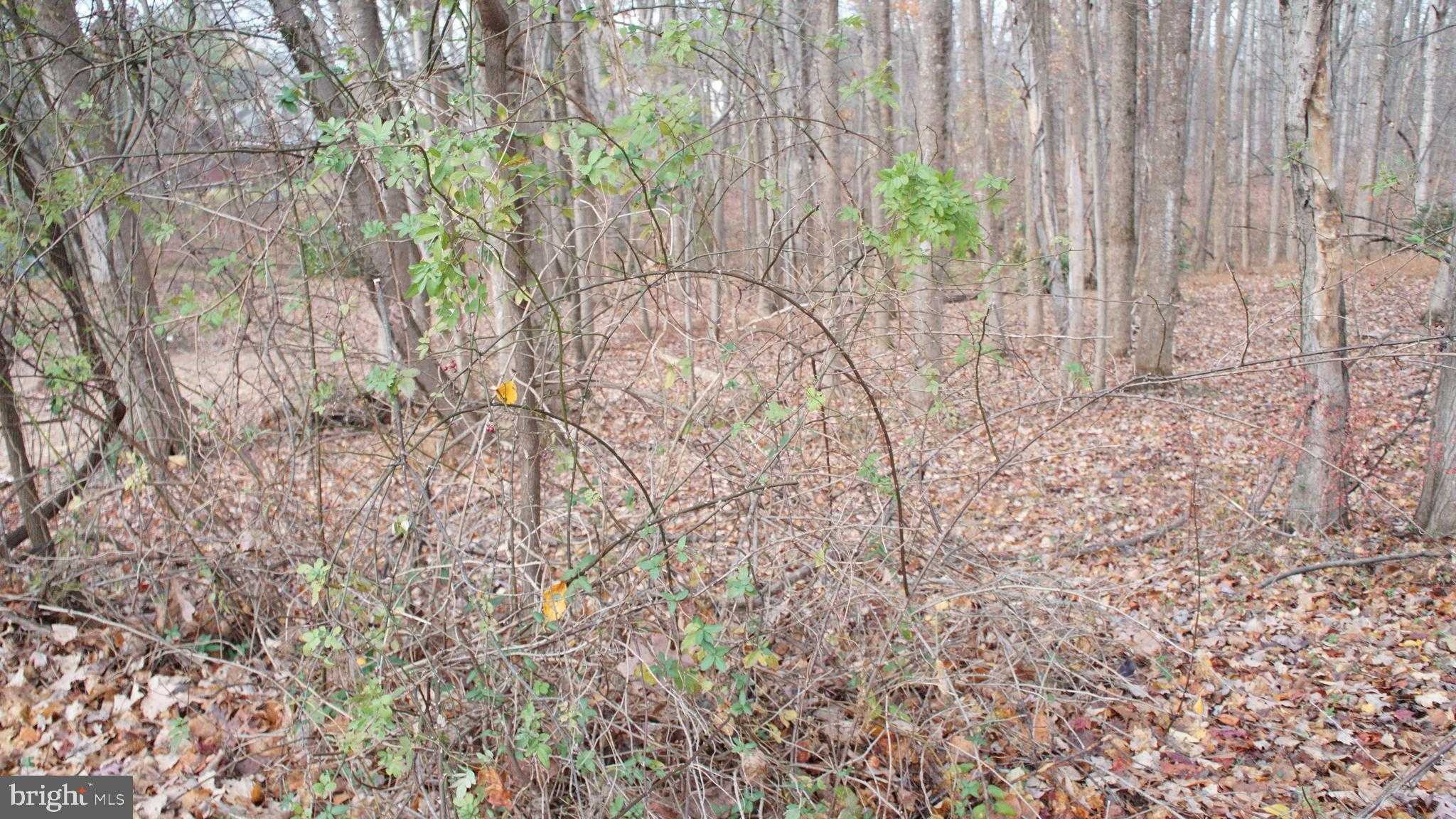 3140 Searsmont Pl photo 4