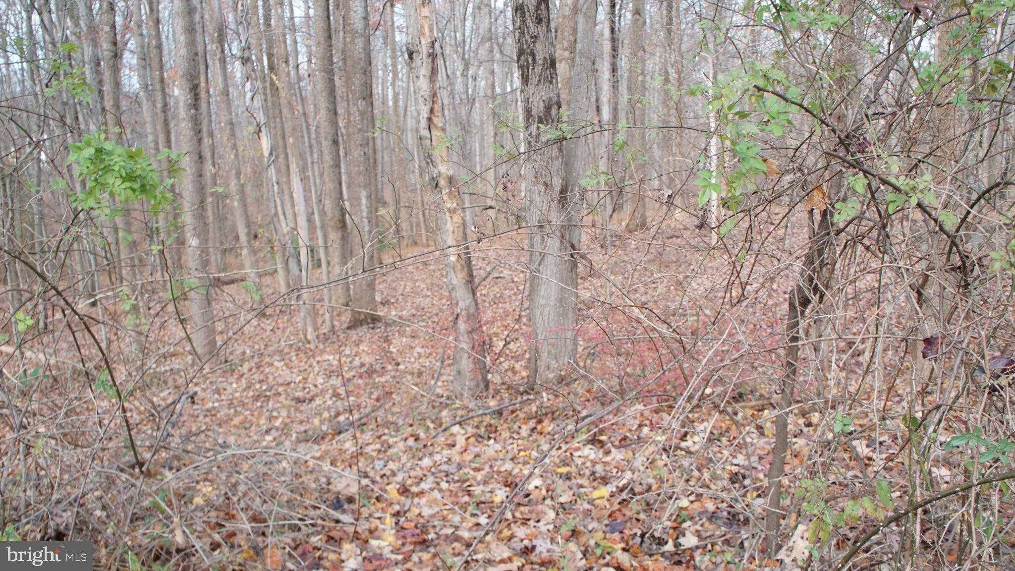 3140 Searsmont Pl photo 5