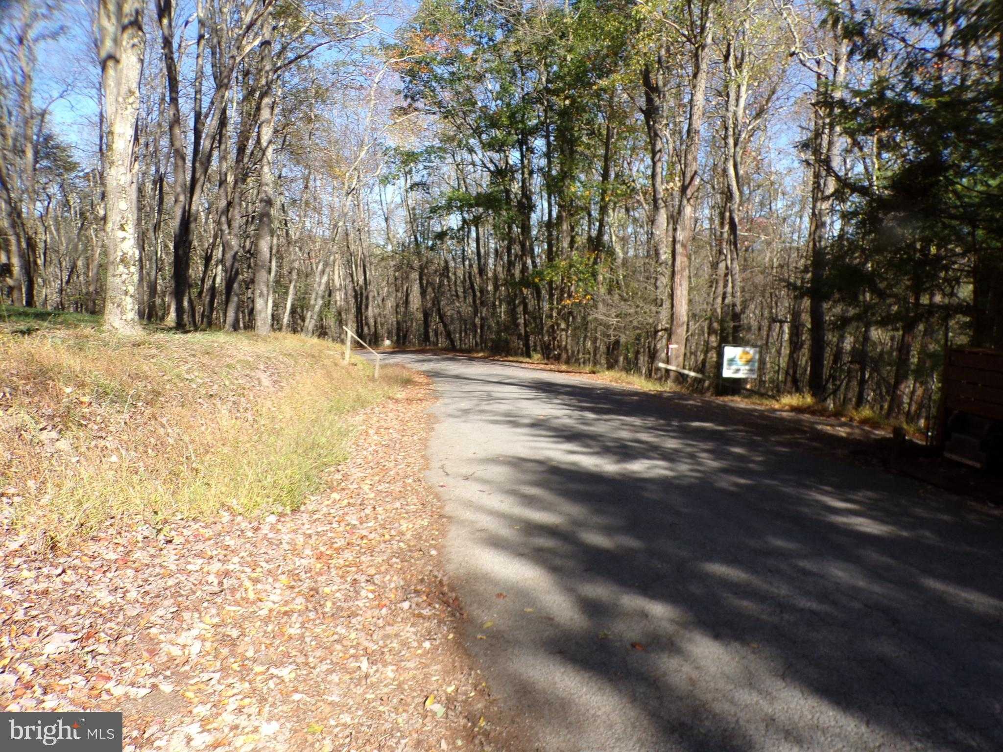 519 Paradise Hts photo 6