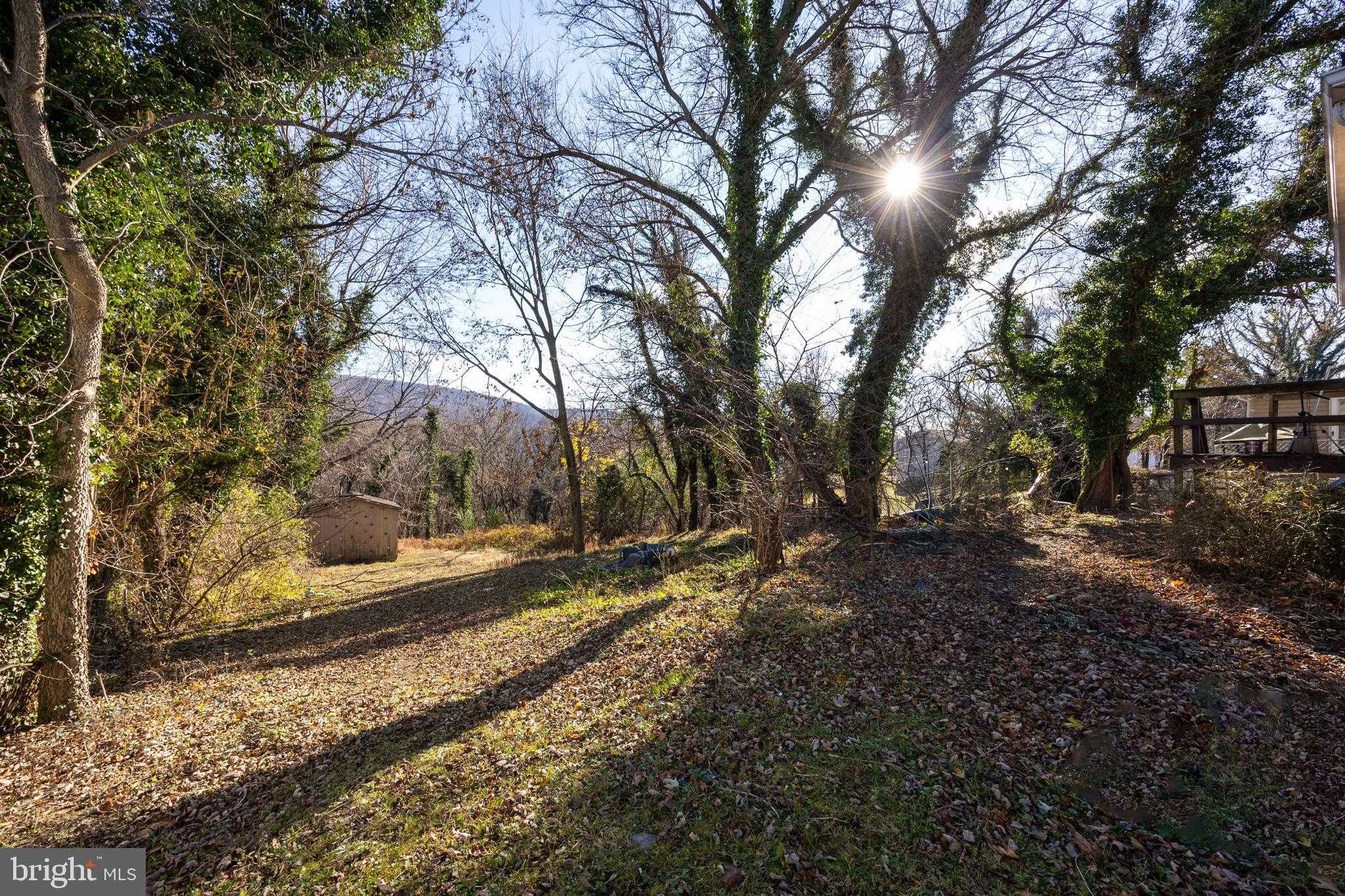 76 Zorger St photo 41