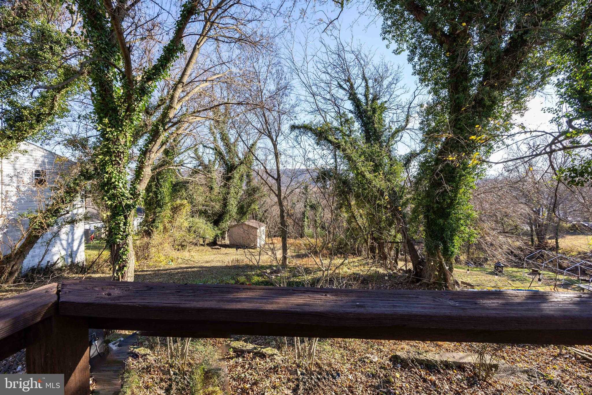 76 Zorger St photo 47