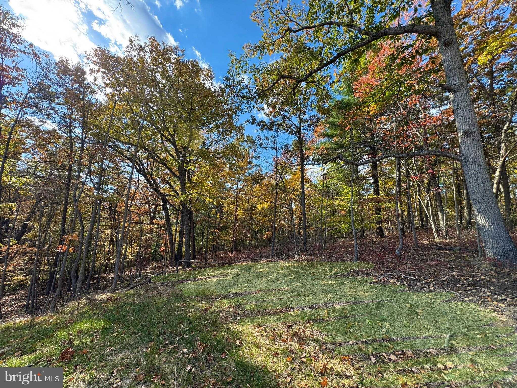 44 Markham Farm Rd photo 12