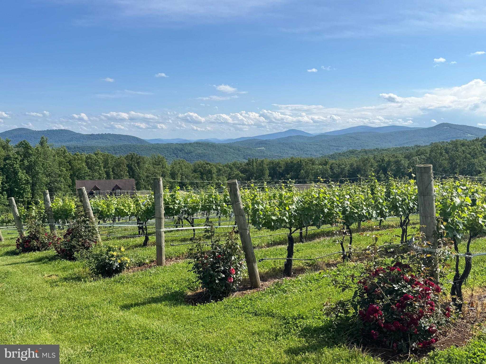 44 Markham Farm Rd photo 40