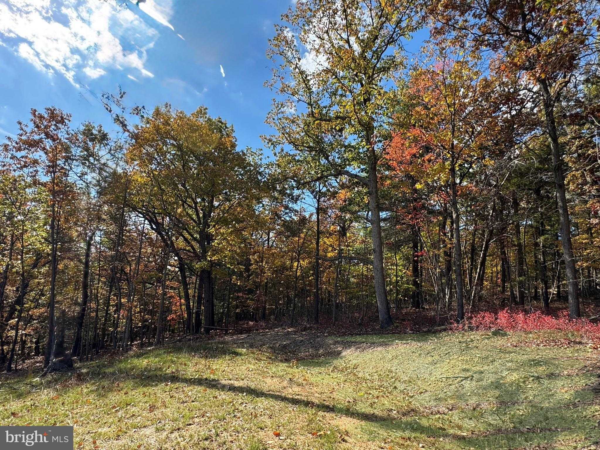 44 Markham Farm Rd photo 6