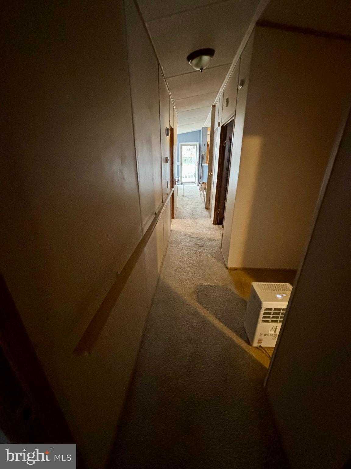 4328 Dover Dr photo 19