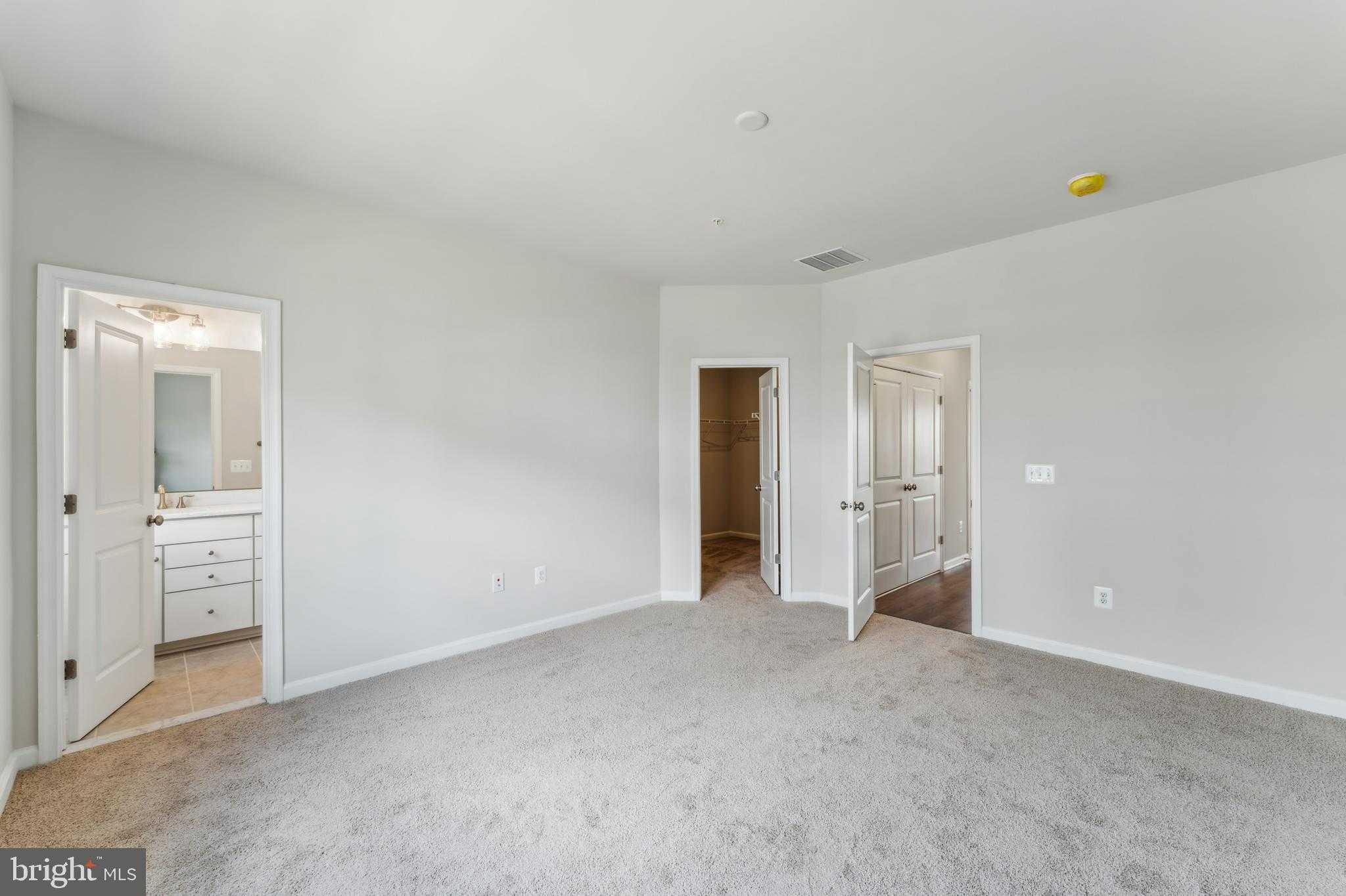 26478 Sir Jamie Ter photo 14