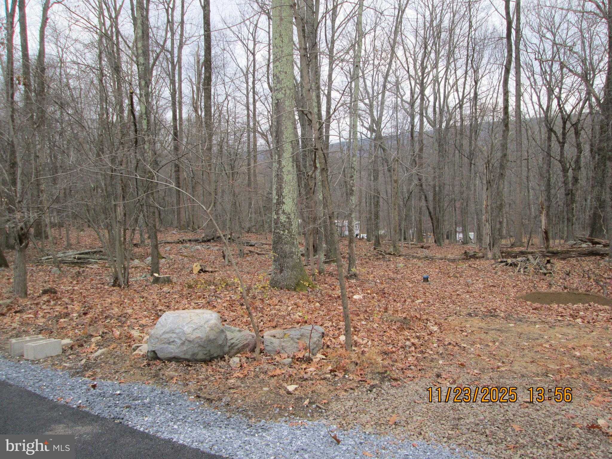 380 Gallery Ln photo 6