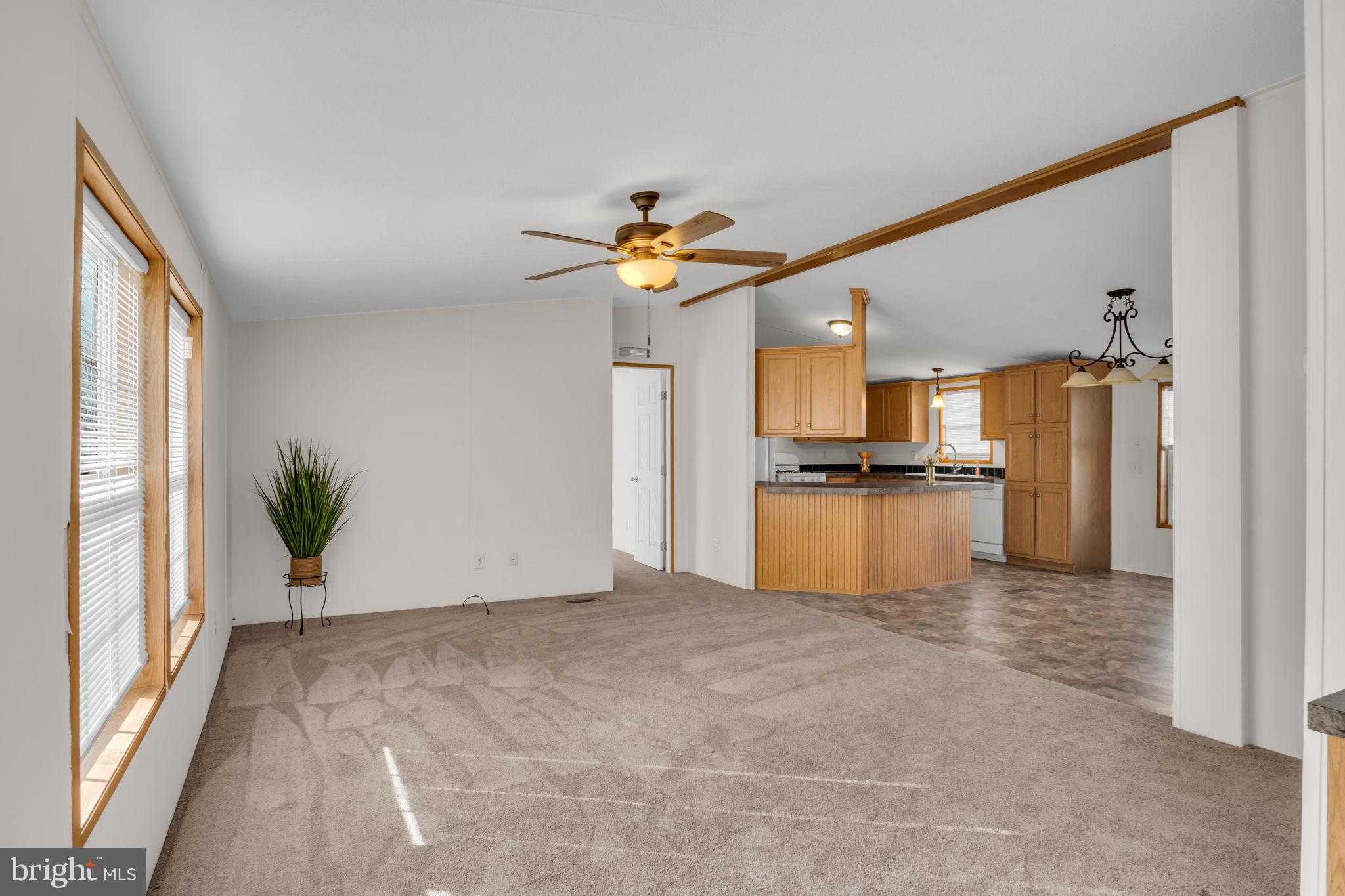 11 Tyler Dr photo 18