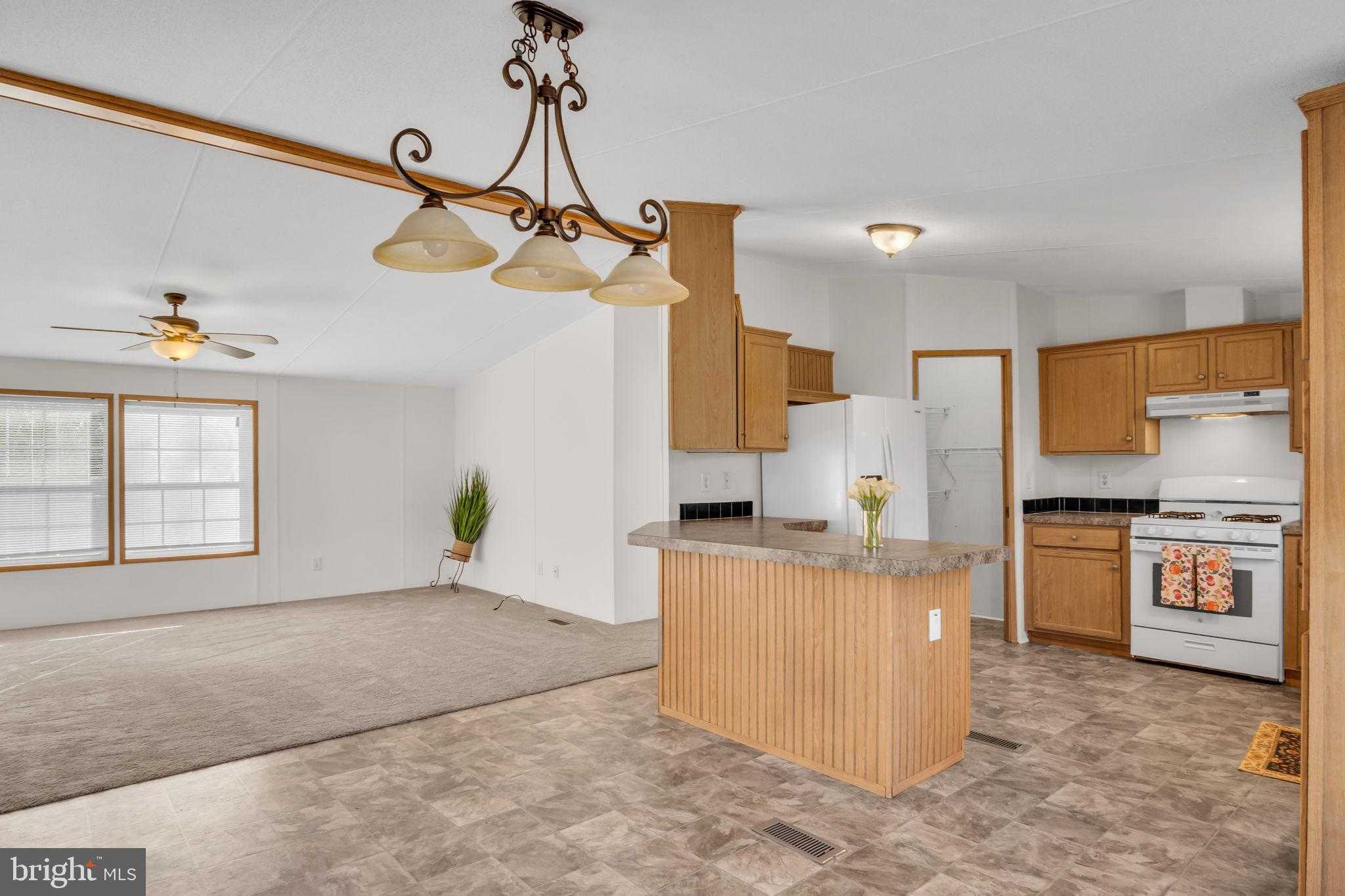 11 Tyler Dr photo 23