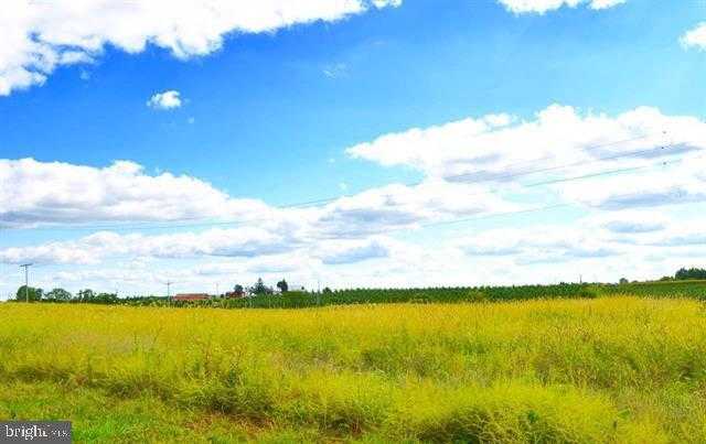 Carlisle Rd photo 22