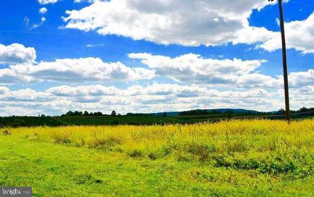 Carlisle Rd photo 24