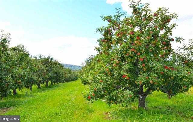 Carlisle Rd photo 25