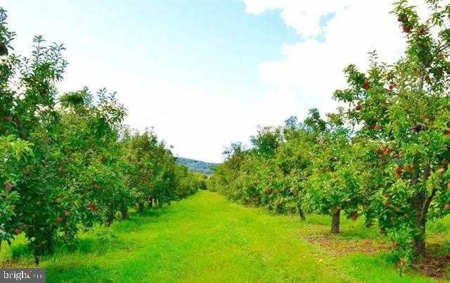 Carlisle Rd photo 26