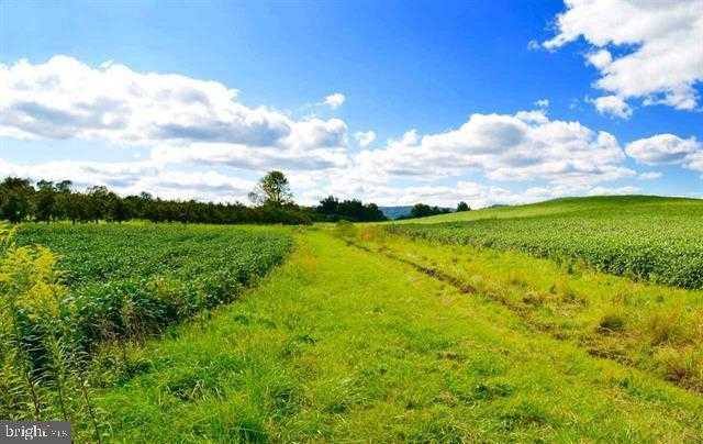 Carlisle Rd photo 29