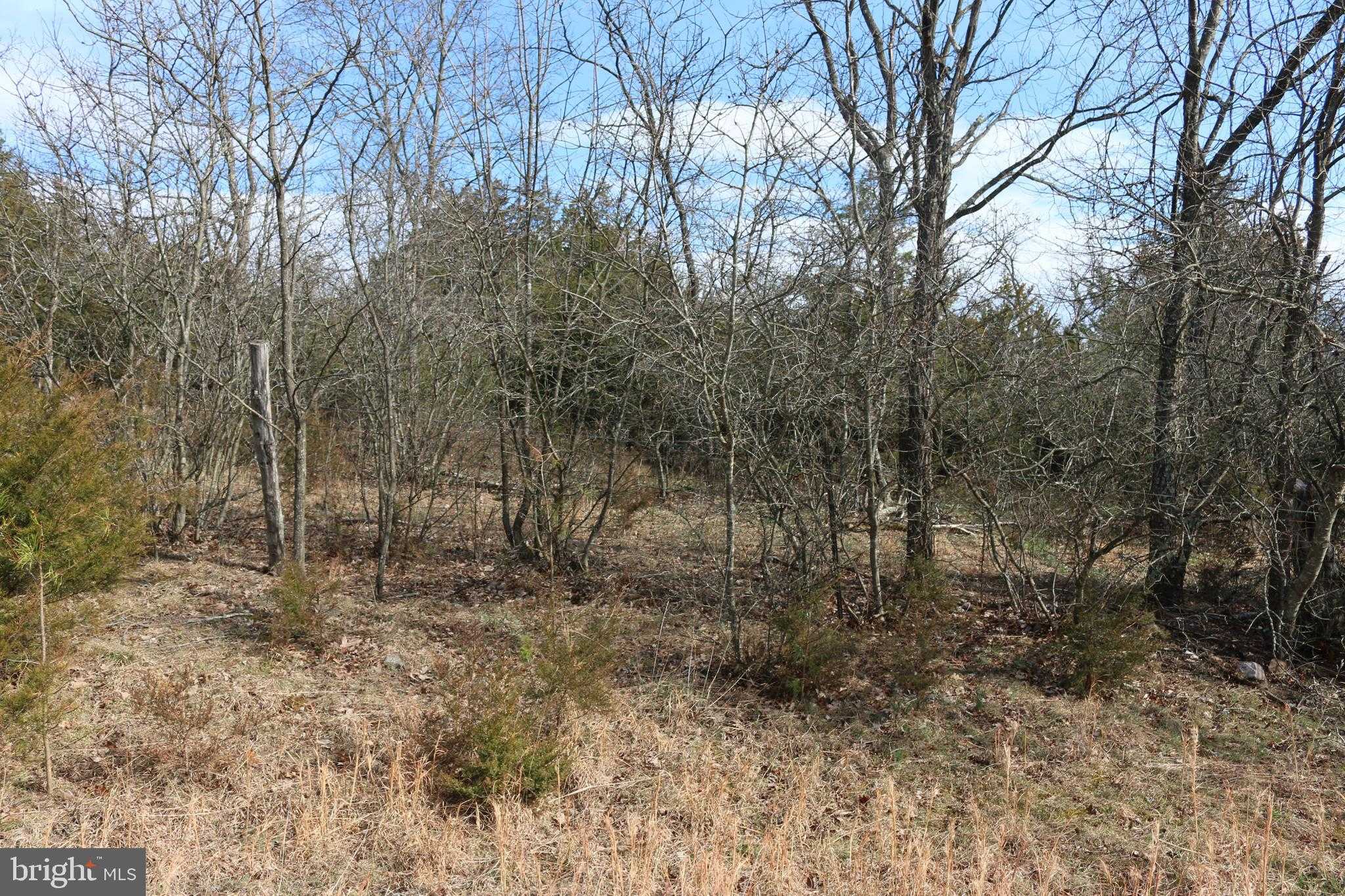 156 Squirrel Den Rd photo 37