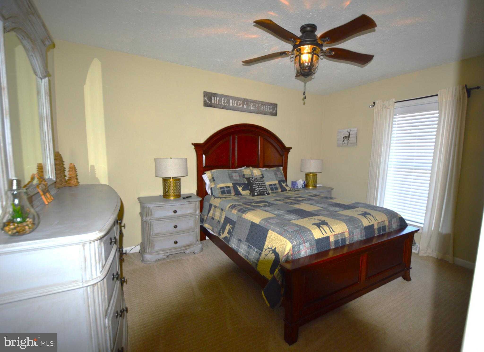 14 Minnie Ha Ha Rd photo 22