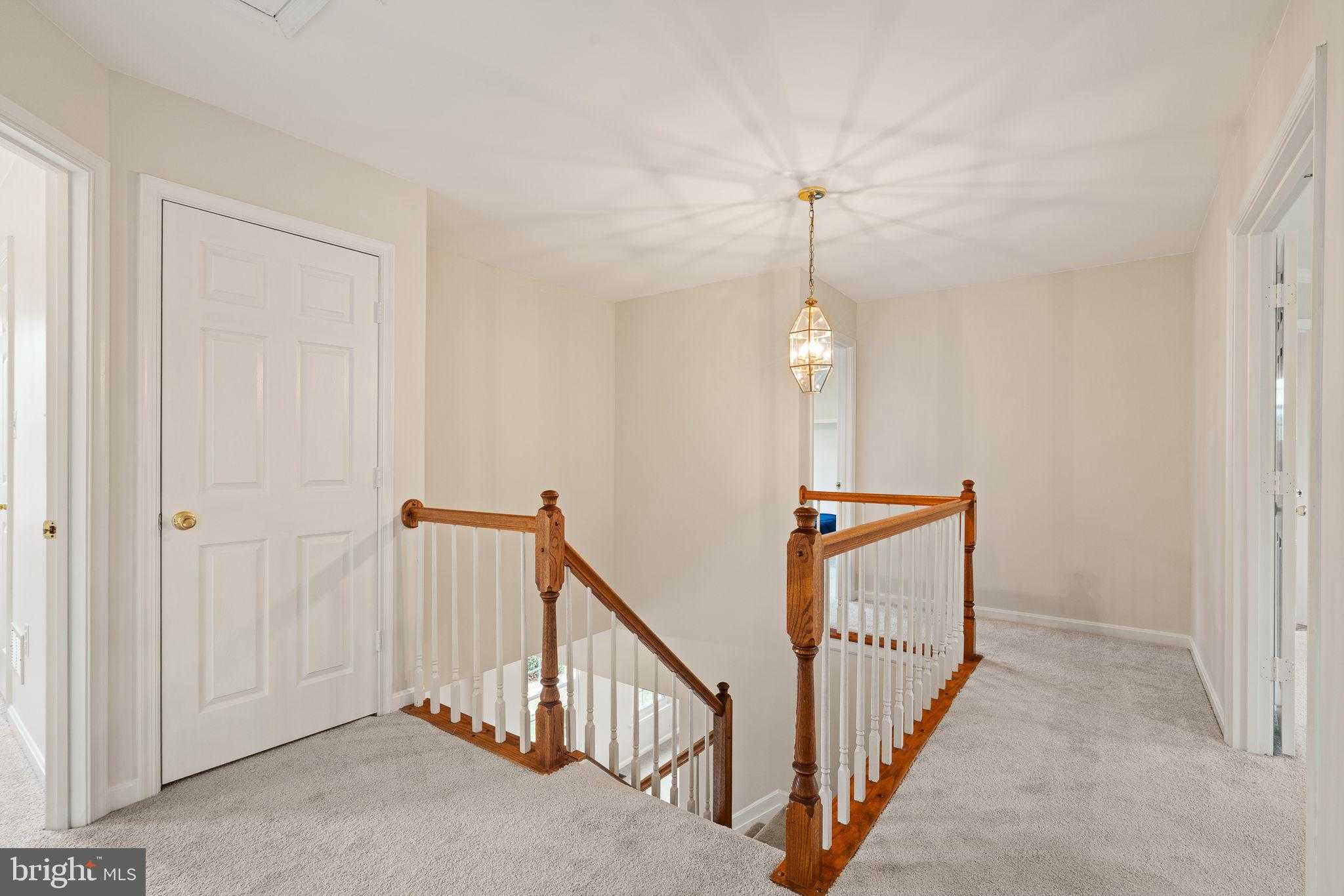 38 Blossom Wood CT photo 19