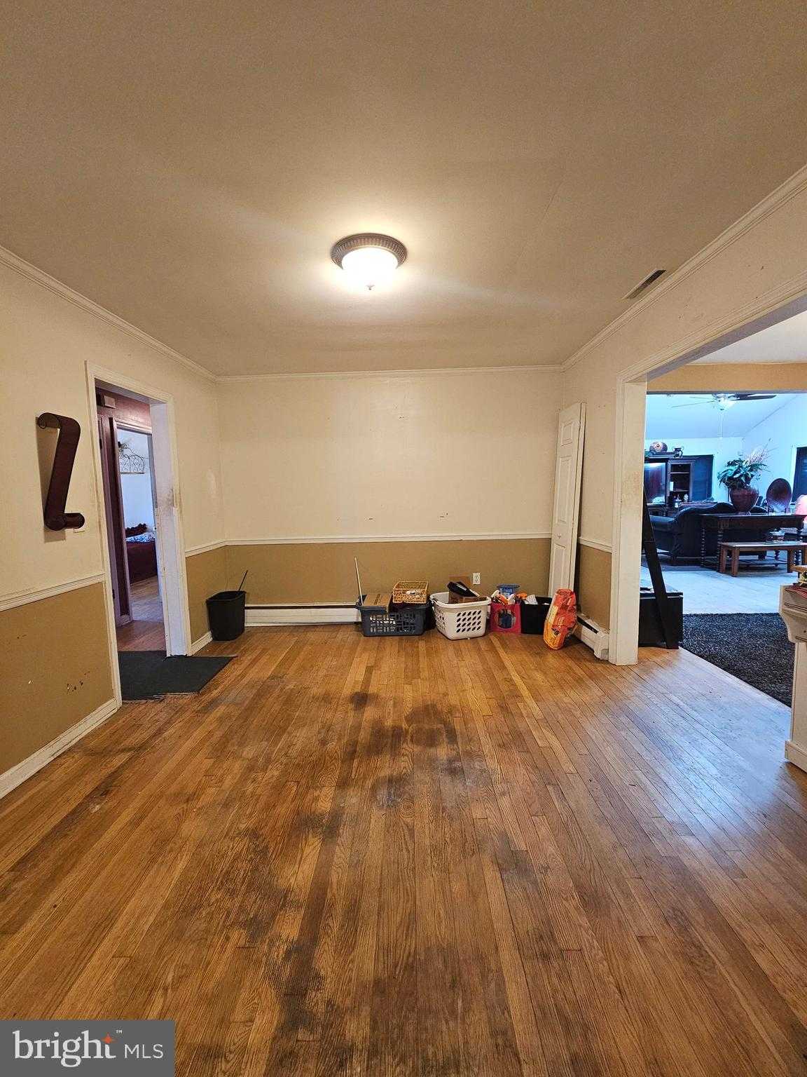 703 Camelia Rd photo 10