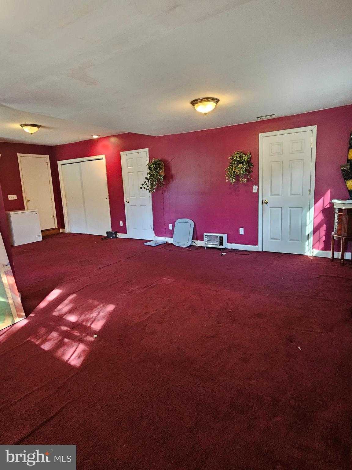 703 Camelia Rd photo 19