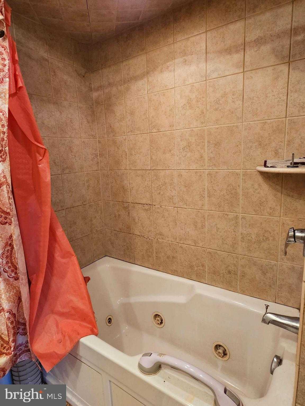 703 Camelia Rd photo 21