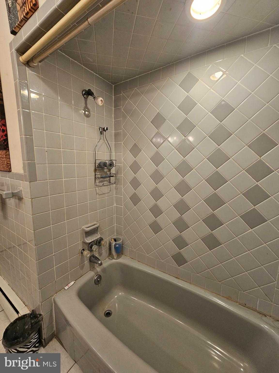 703 Camelia Rd photo 42