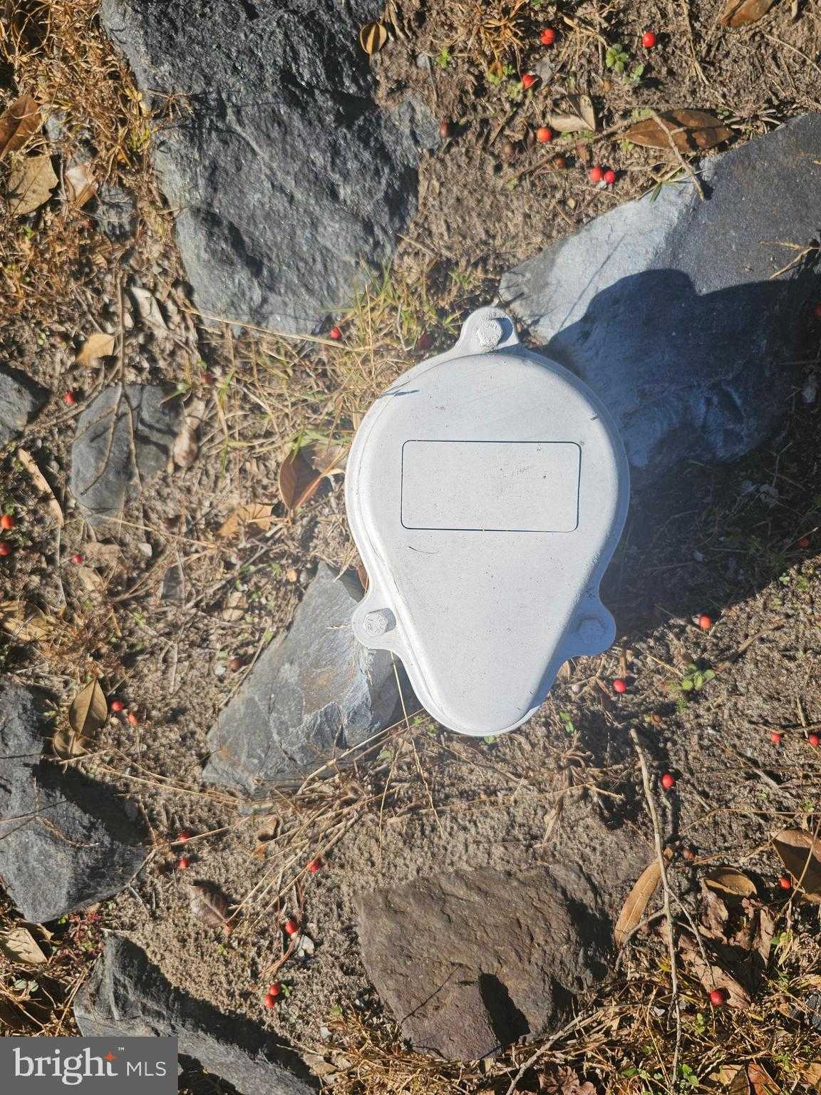 703 Camelia Rd photo 45