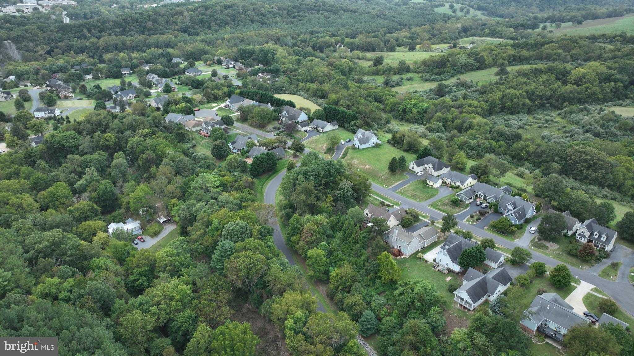 Woodridge Ln photo 10