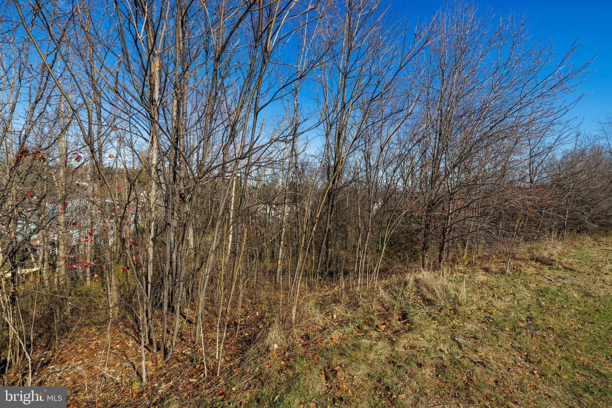 2122 Willow Hill Dr photo 16