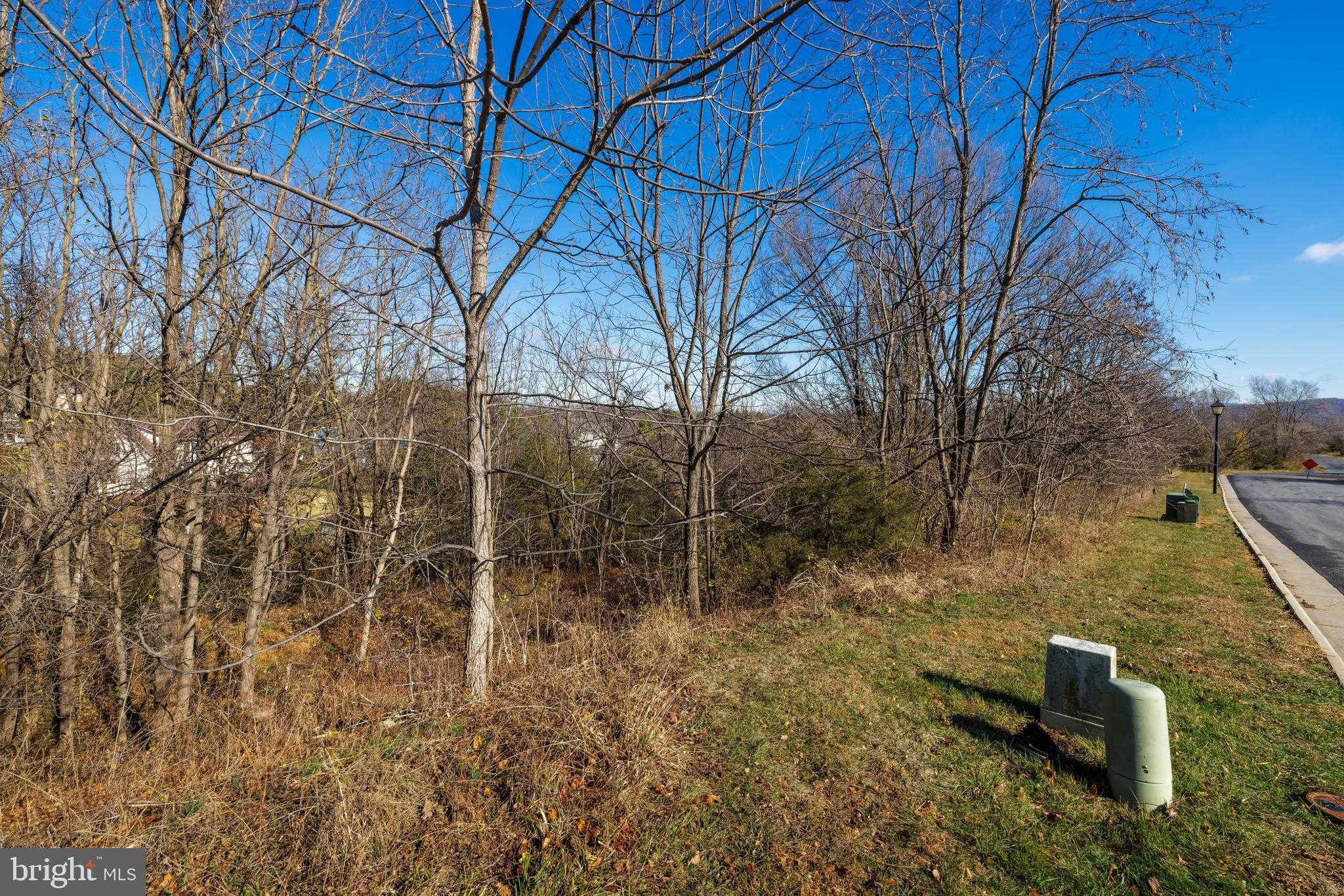 2122 Willow Hill Dr photo 17