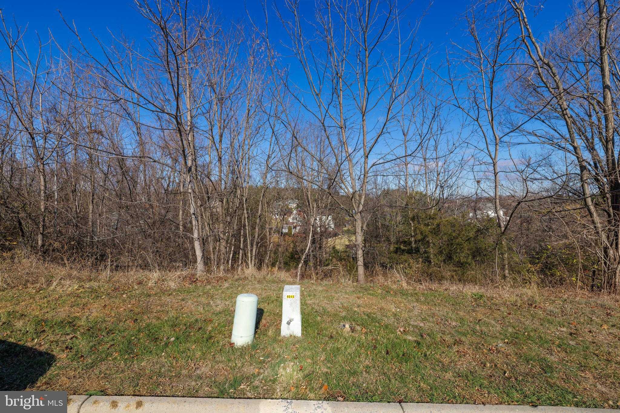 2122 Willow Hill Dr photo 18