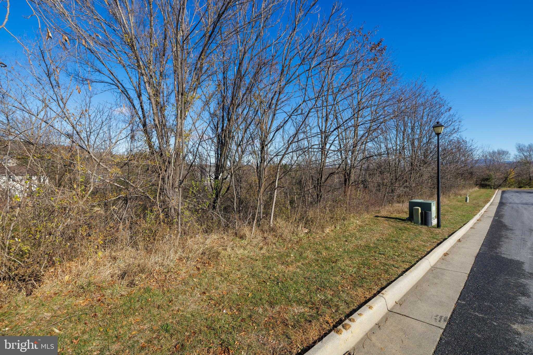 2122 Willow Hill Dr photo 20