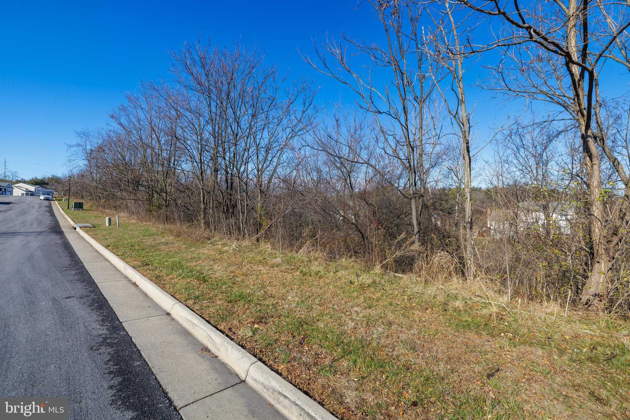 2132 Willow Hill Dr photo 5