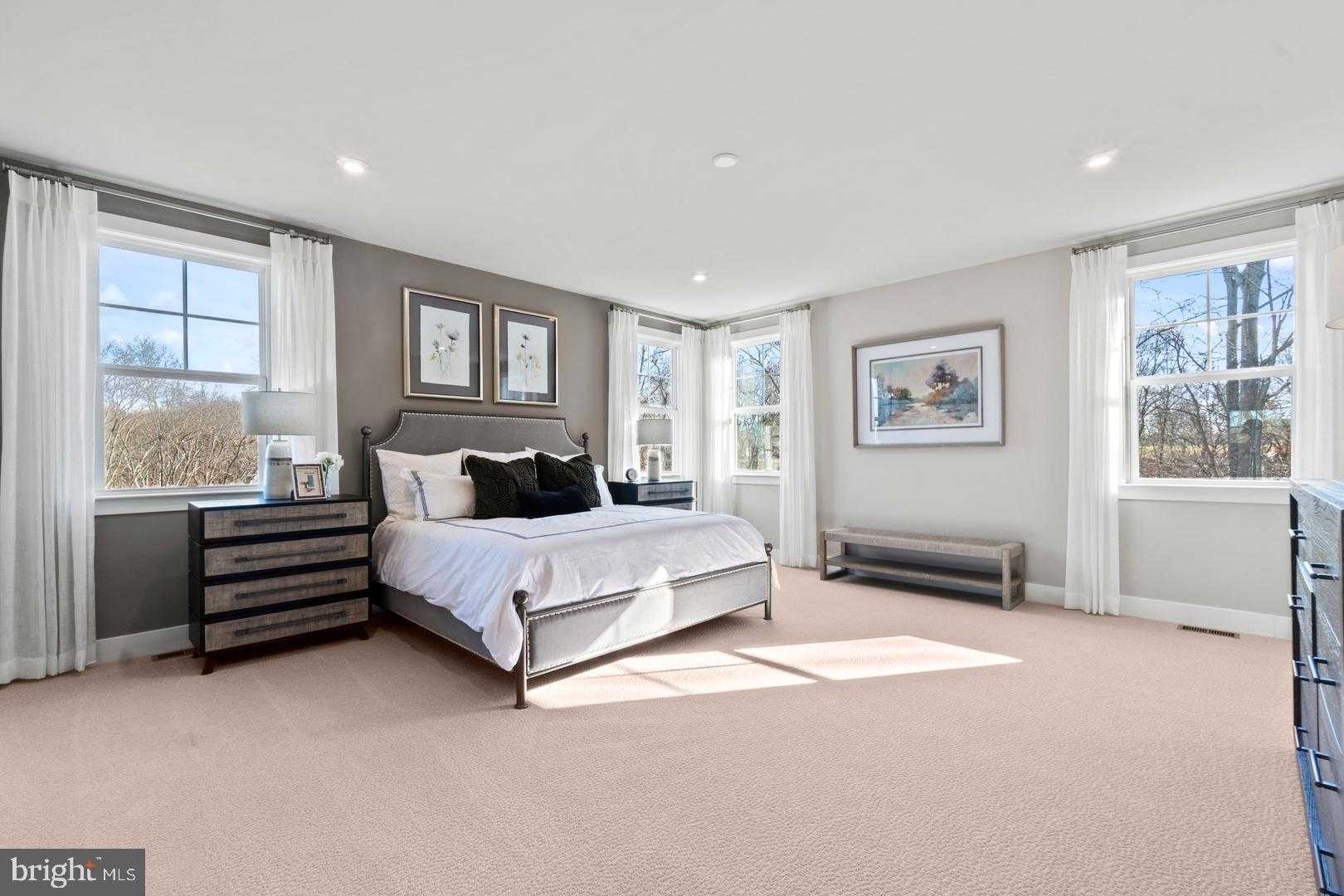 2932 Blue Skies Ln photo 20