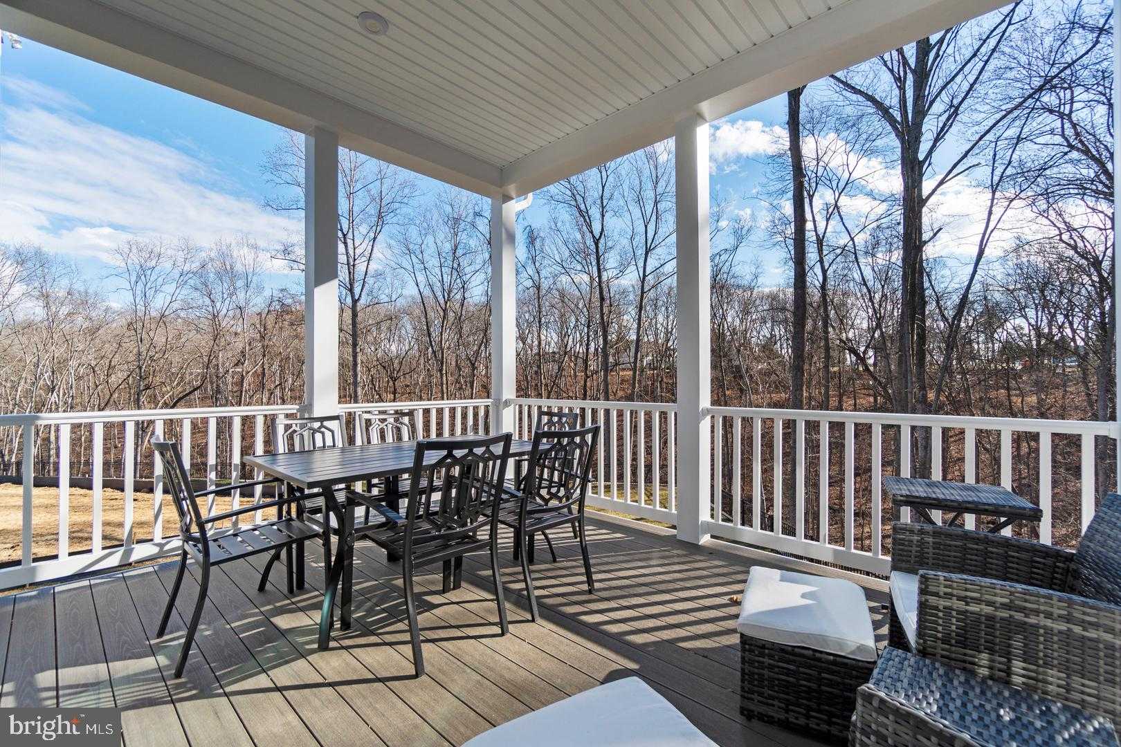 2932 Blue Skies Ln photo 43