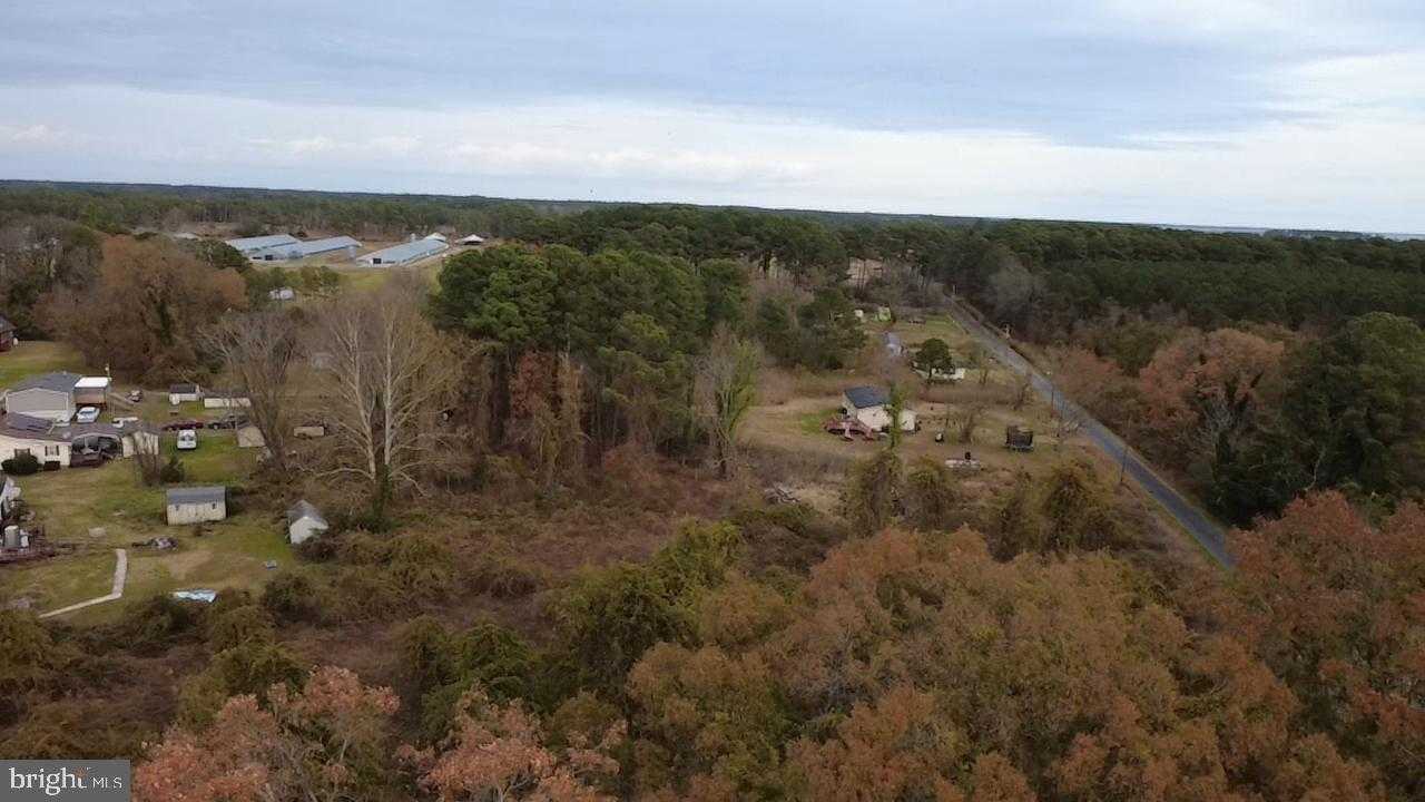 26641 Walter Jones Rd photo 7