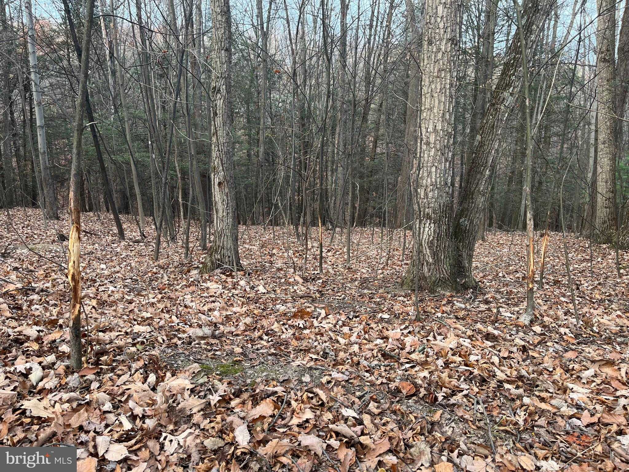 9766 Valley View Rd photo 29