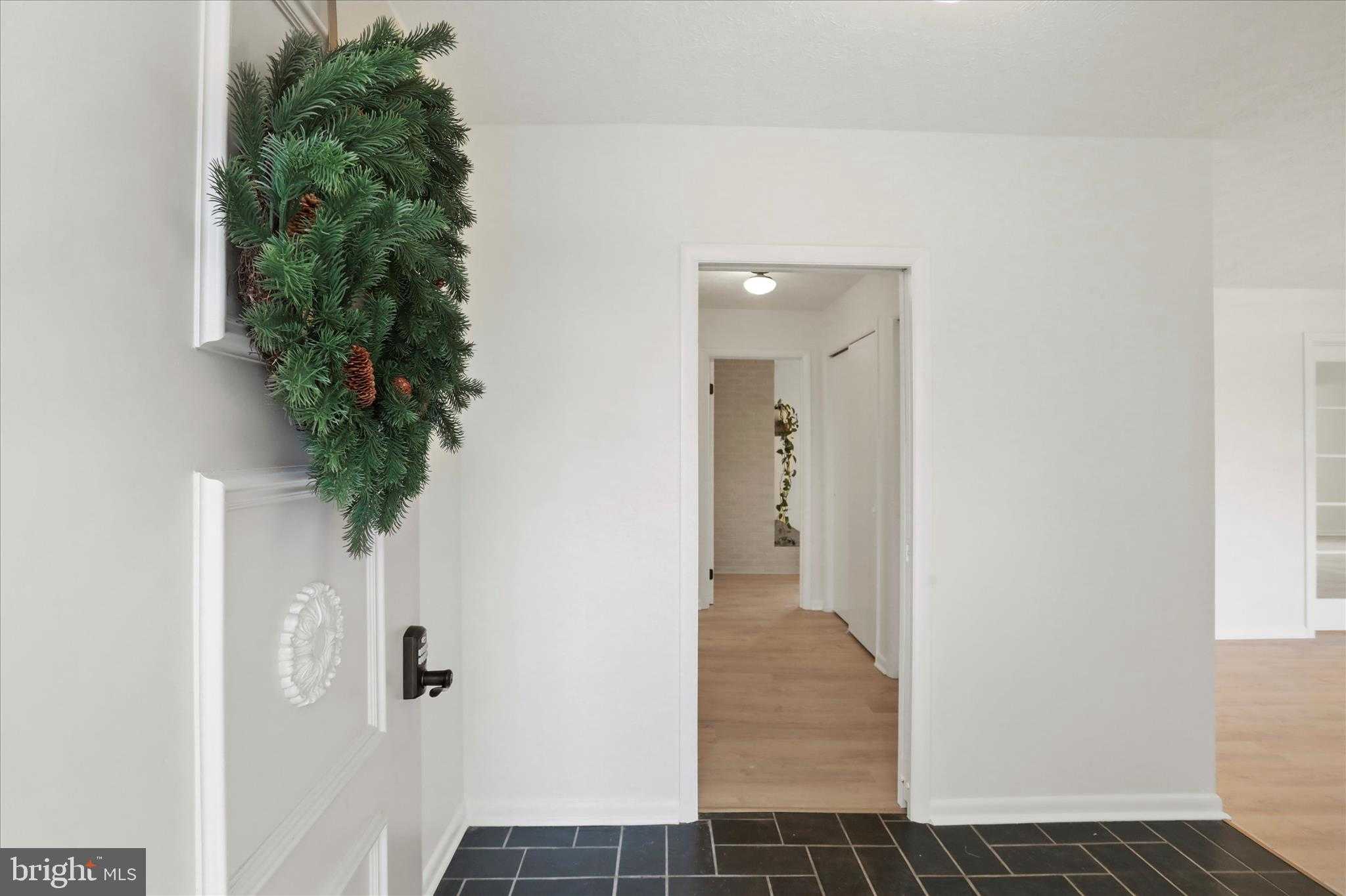 717 W Locust St photo 4