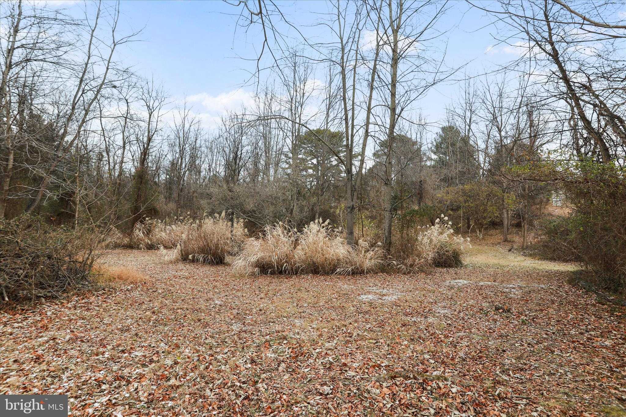 717 W Locust St photo 64