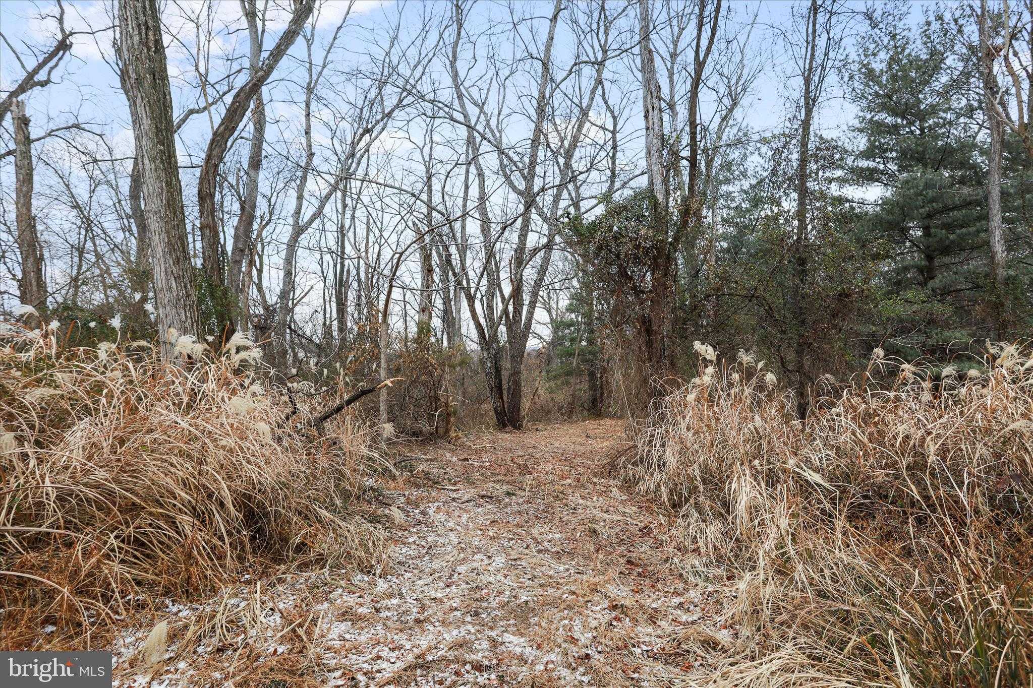 717 W Locust St photo 65