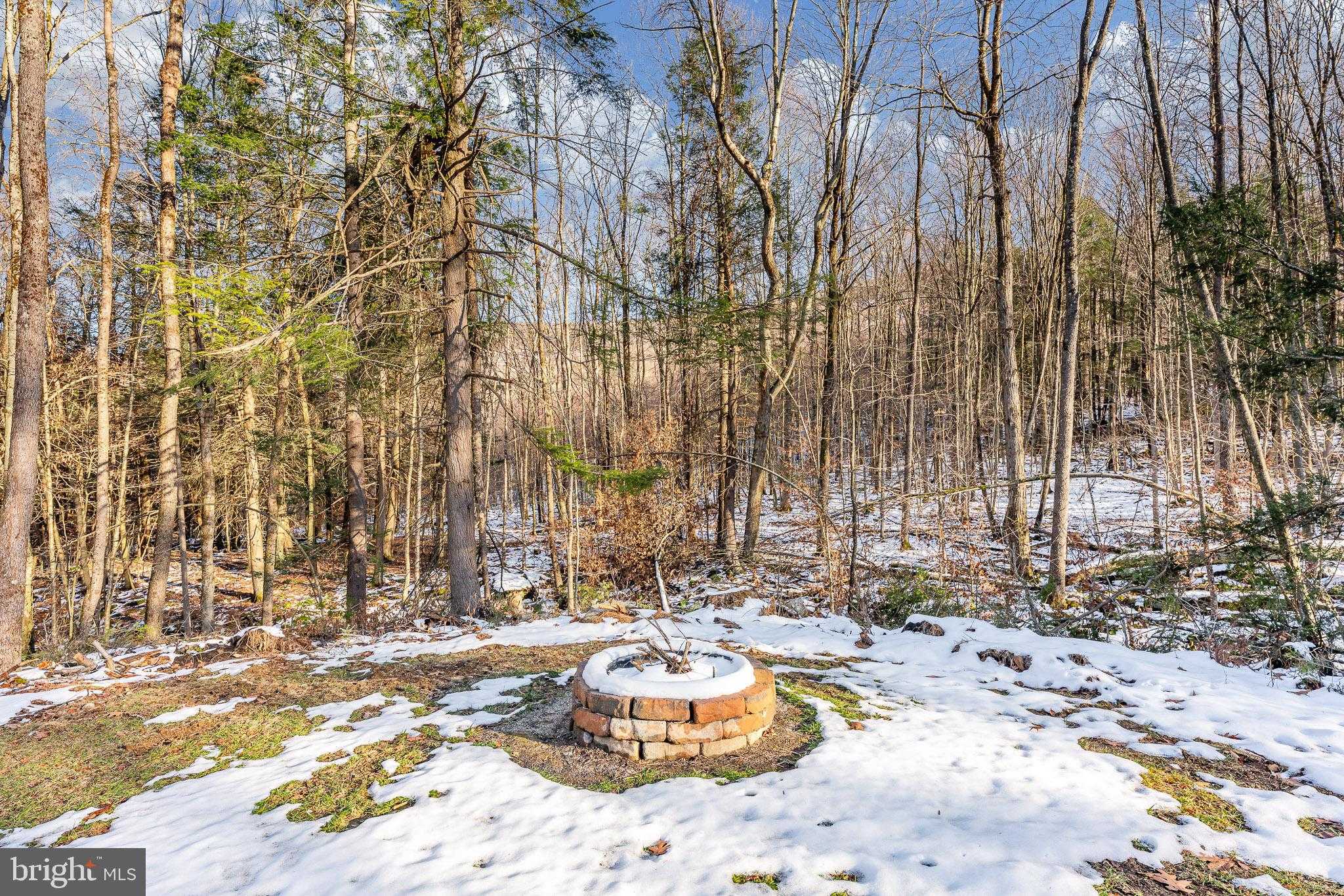 1012 Cannon Settlement Rd photo 54