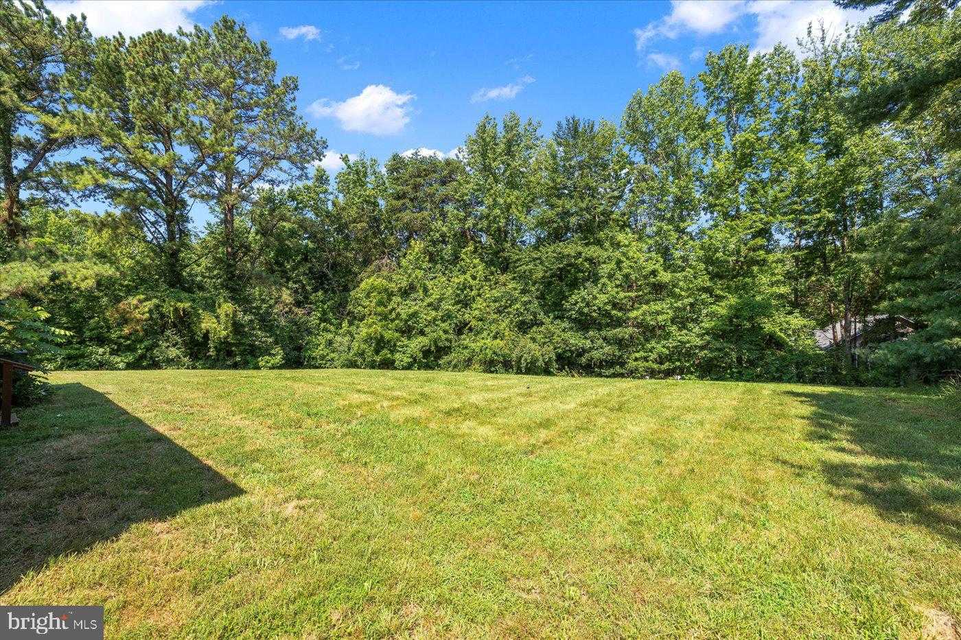 64 Peach Tree Ln photo 8