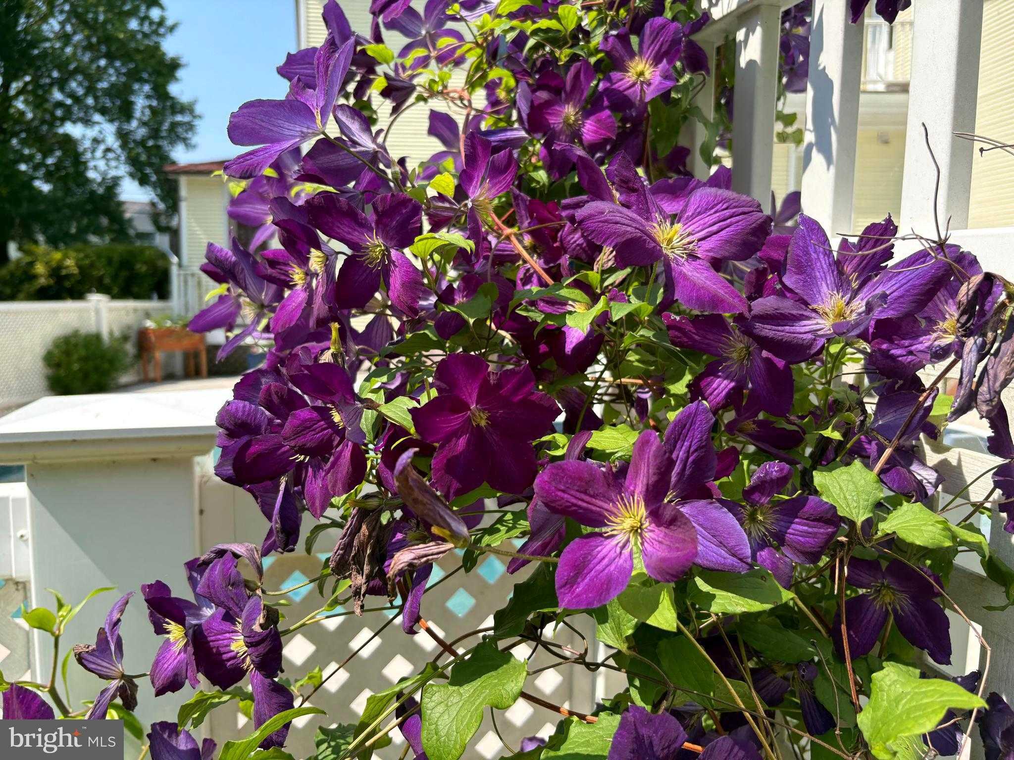 2316 Bauernschmidt Dr photo 80