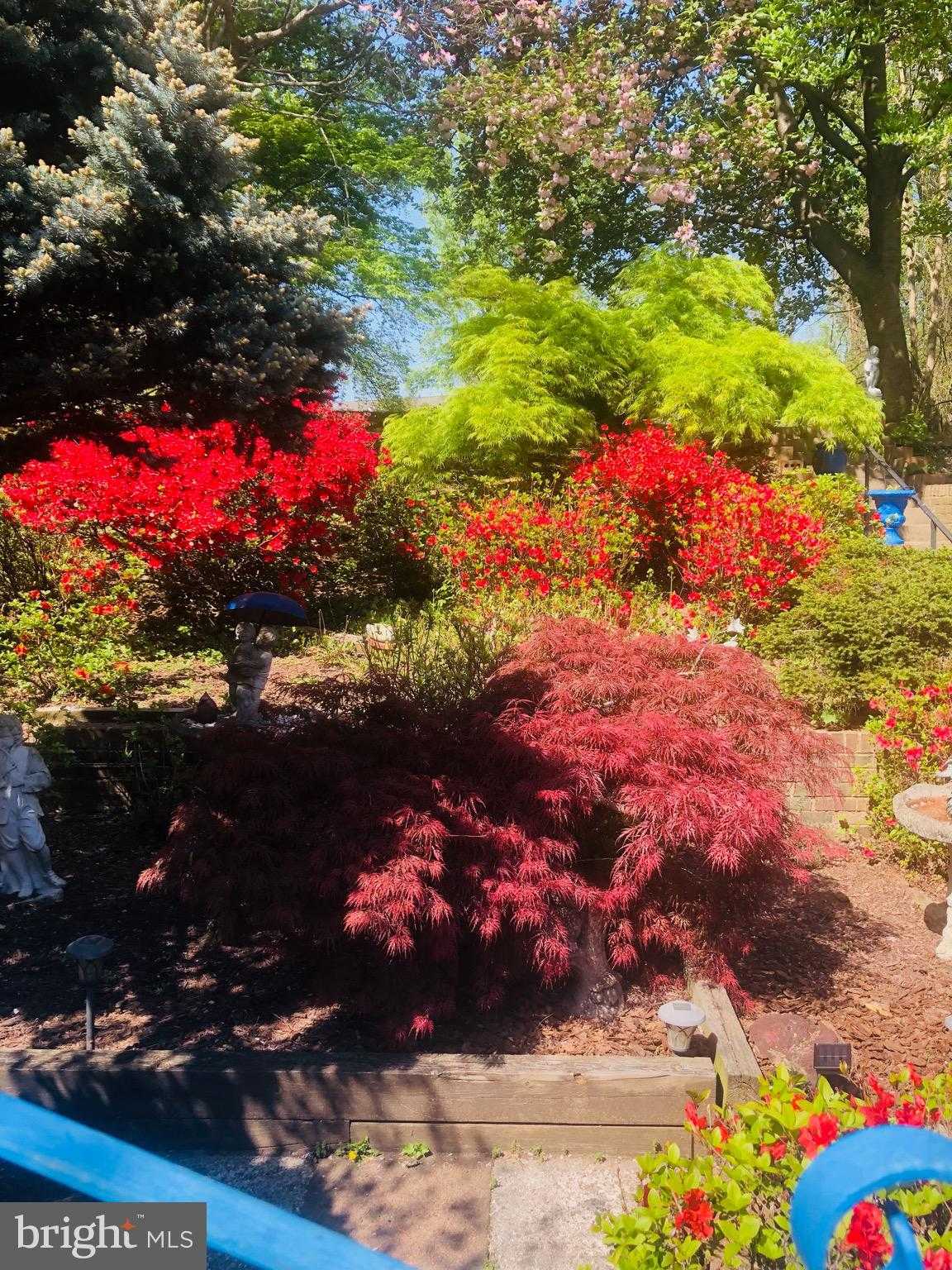 6144 Chesterbrook Rd photo 4