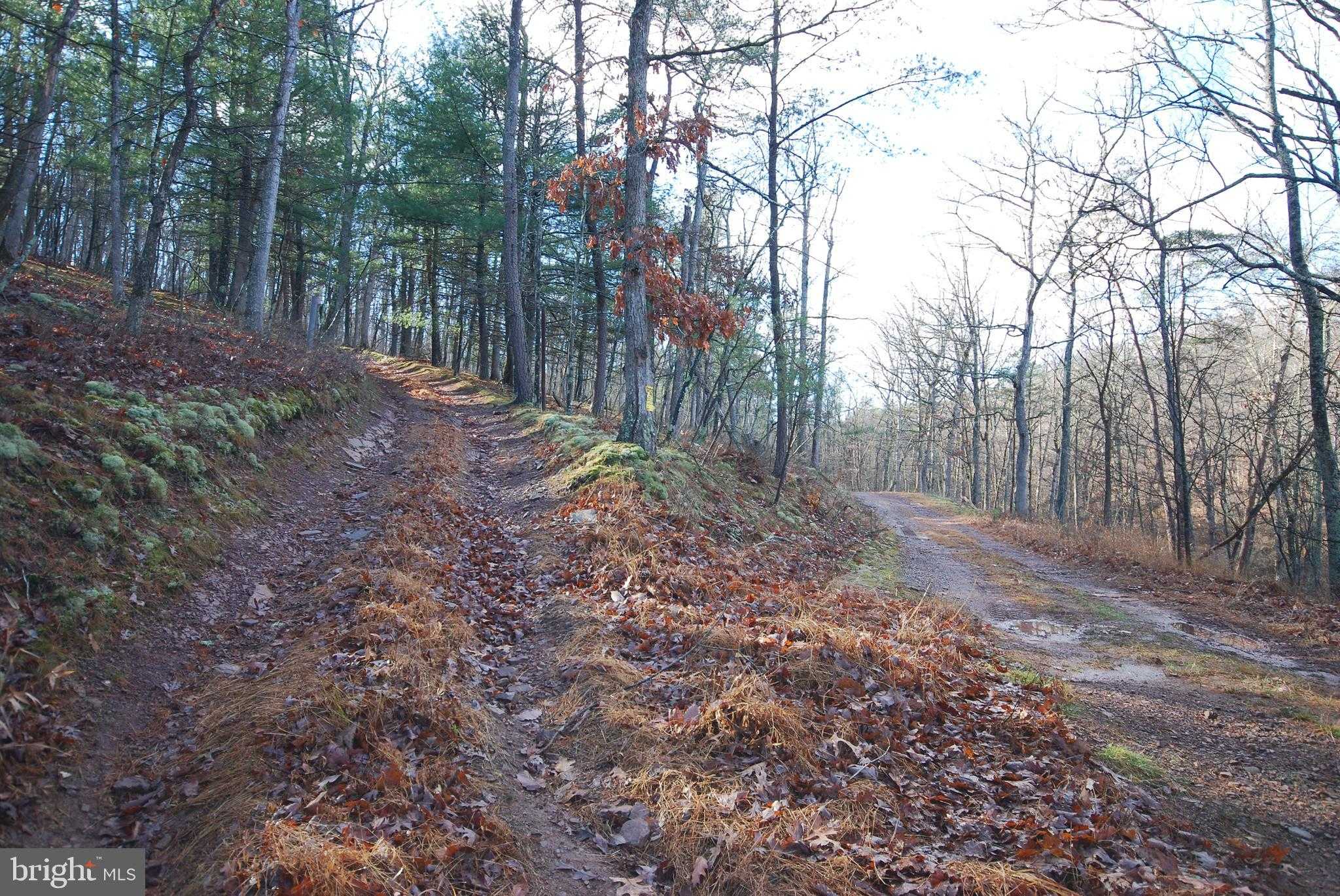 96 Mill Mountain Rd photo 3