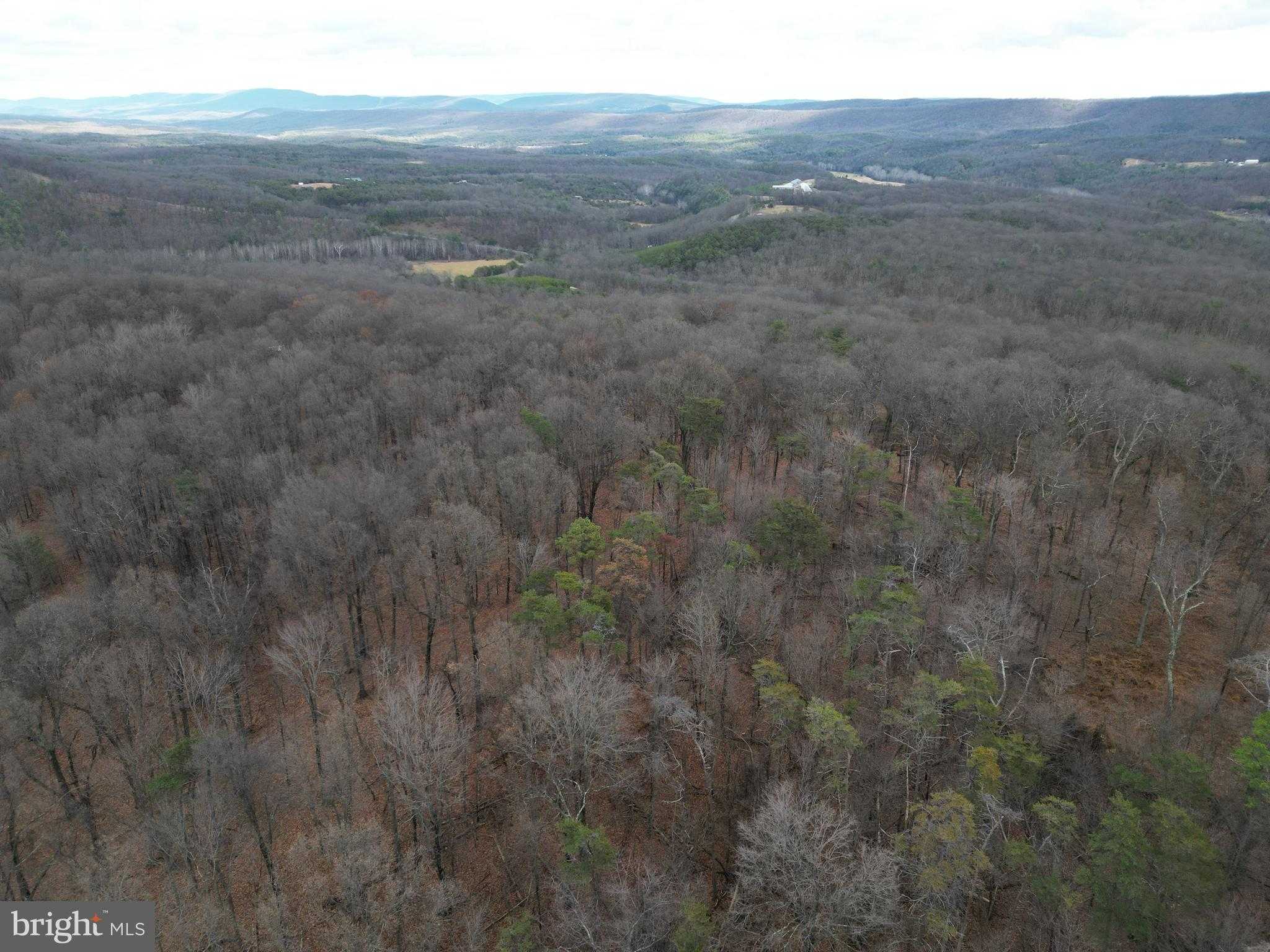 96 Mill Mountain Rd photo 35