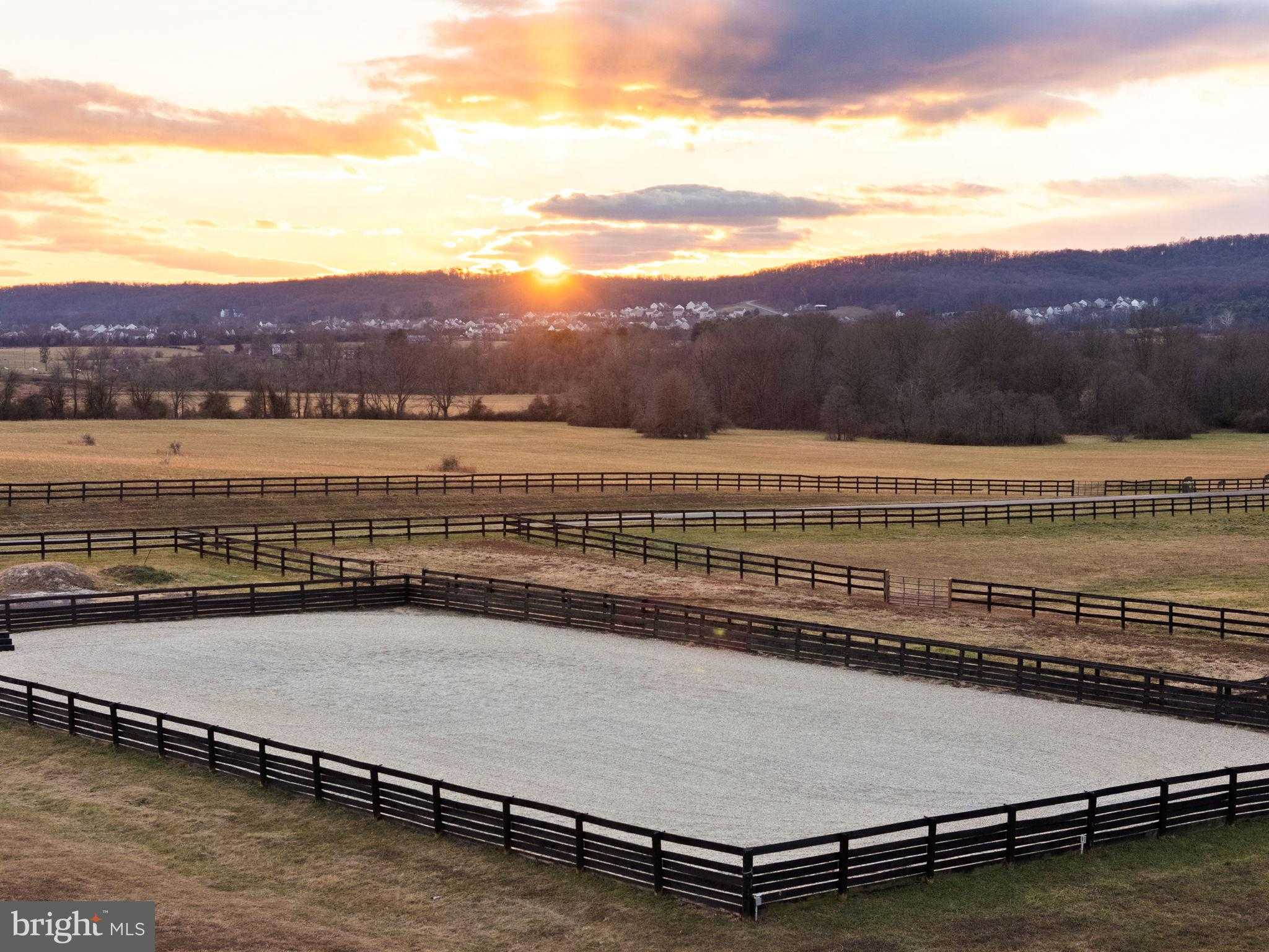 15145 Lees Crossing Ln photo 4