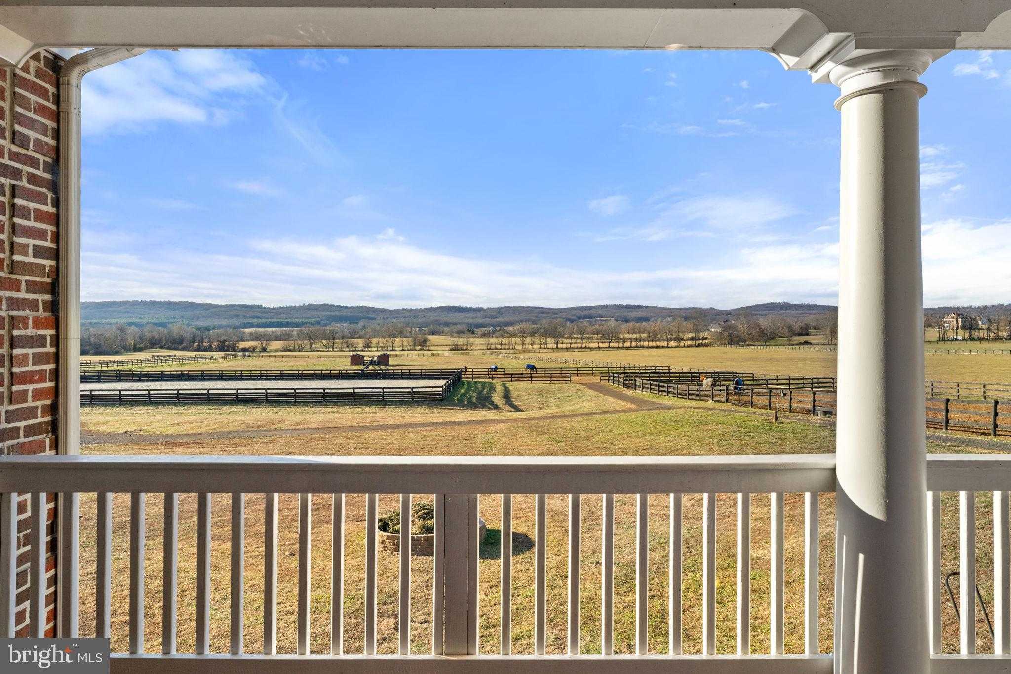 15145 Lees Crossing Ln photo 67