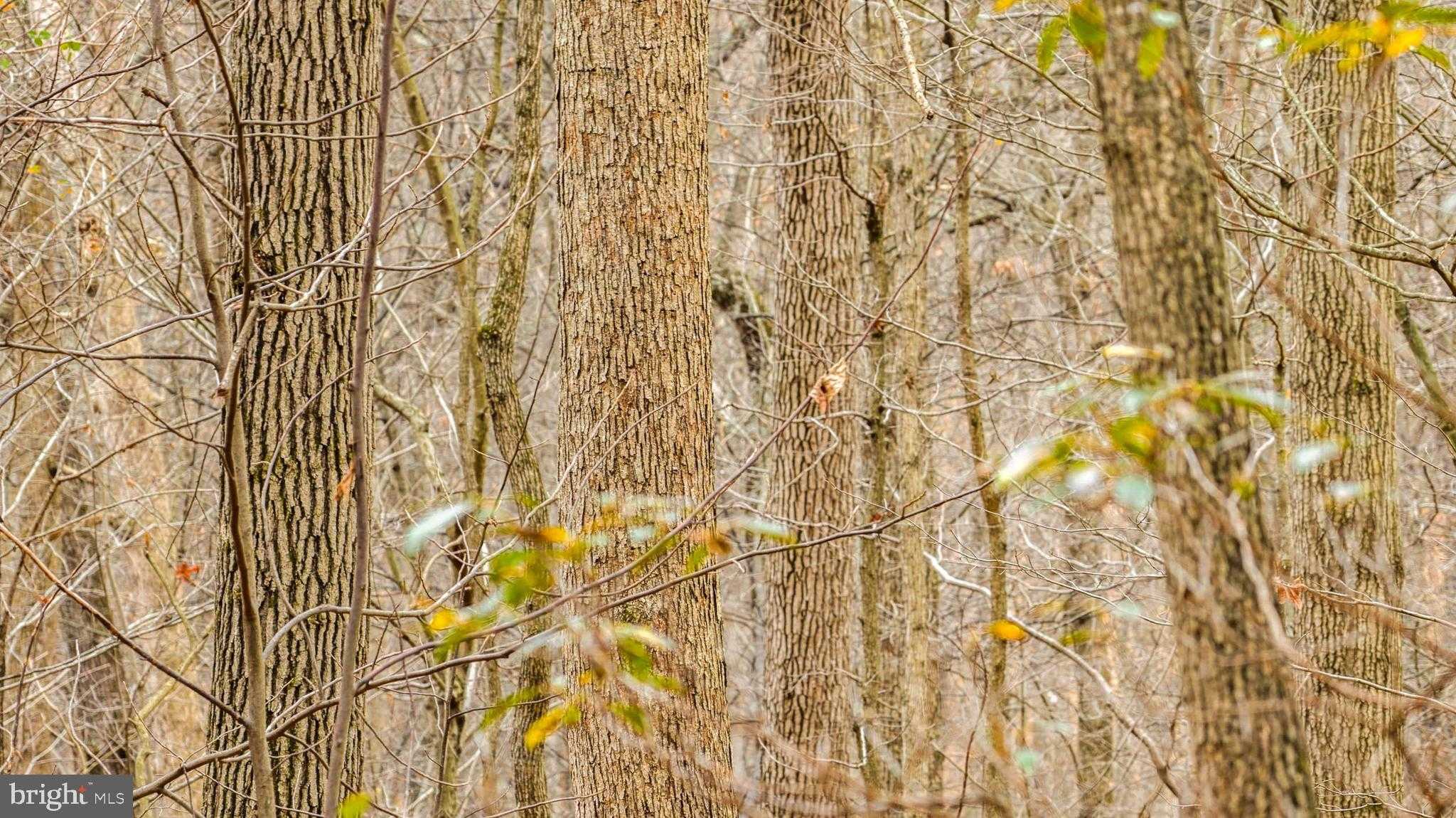 2052 Nelson Mill Rd photo 14