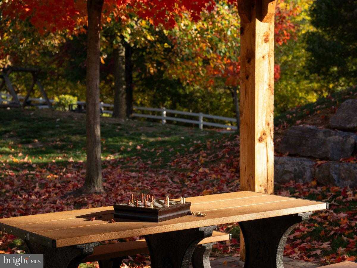 1114 Collina Ln photo 22