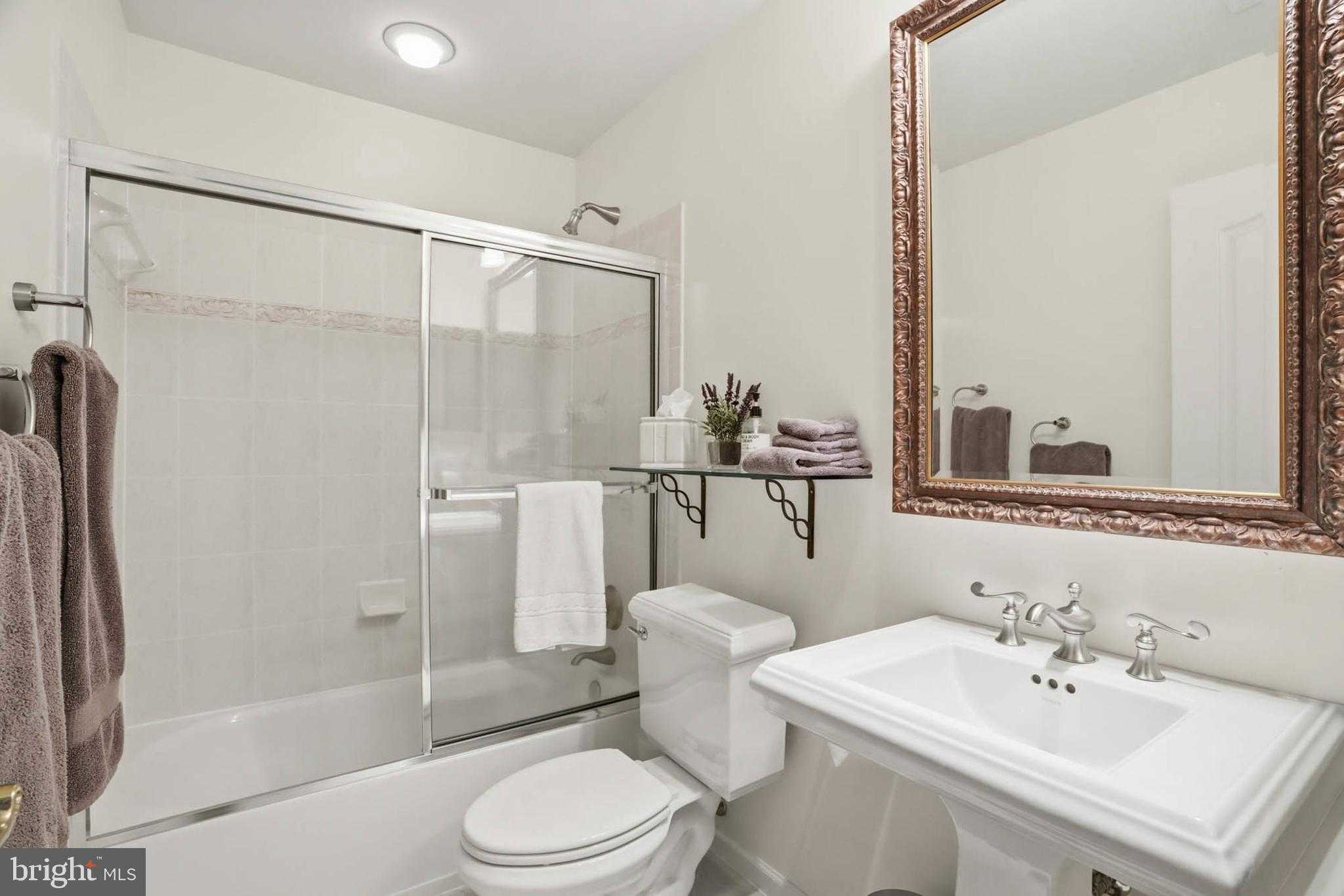 200 Black Skimmer CT photo 25